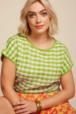 Ann Top Turtle
