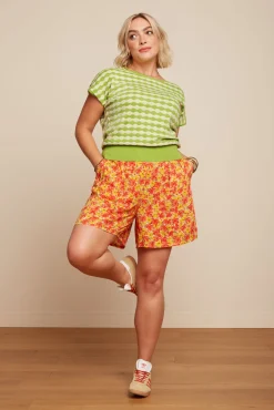 Ann Top Turtle